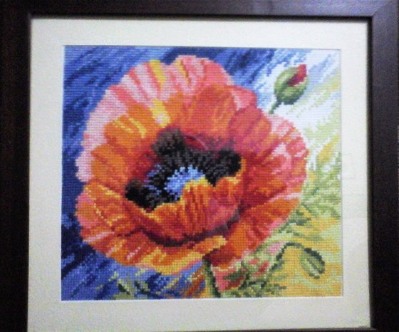 Работа «Поцелуй лета»