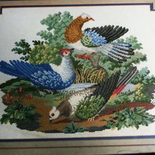 Работа «นกพิราบ»