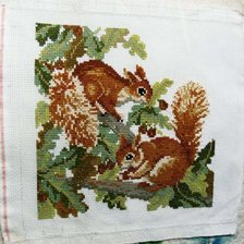 Работа «กระรอกน้อย»