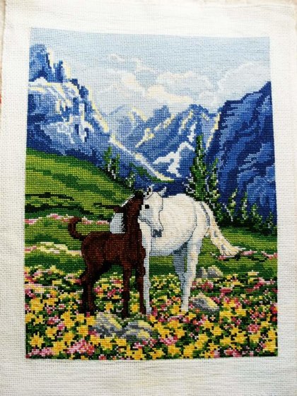 Работа «ม้าภูเขา»