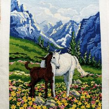 Работа «ม้าภูเขา»