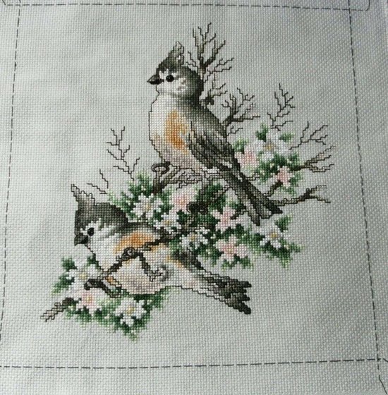 Работа «คู่นก»