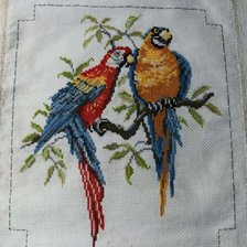 Работа «นกแก้วมาคอว์»