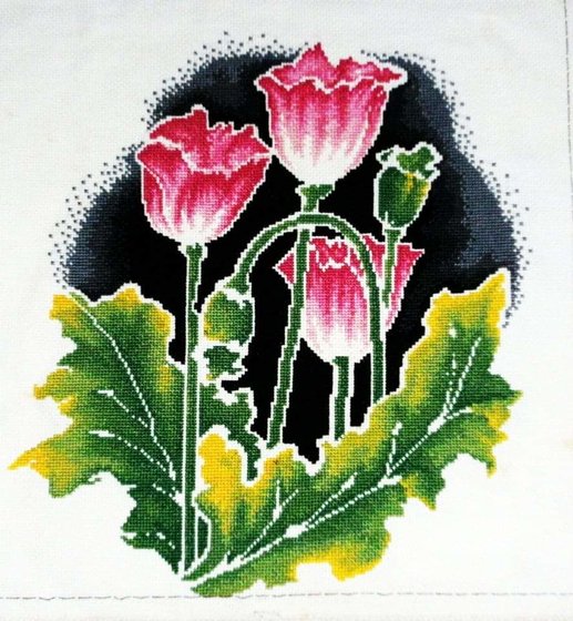 Работа «ดอกฝิ่น»