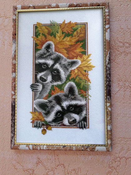 Работа «Любопытные еноты»