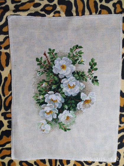 Работа «Белый шиповник. Набор от Риолис.»