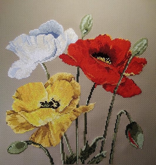 Работа «Трио маков»