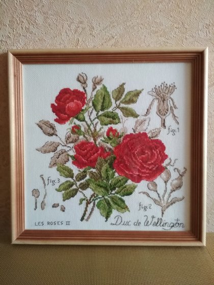 Работа «Ботанический этюд V. Enginger: роза Герцог Веллингтон»