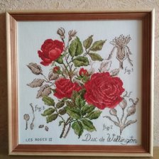 Работа «Ботанический этюд V. Enginger: роза Герцог Веллингтон»