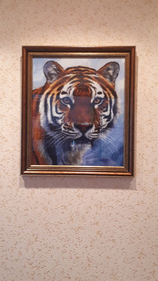 Работа «Тигр от Елены Шашновой»