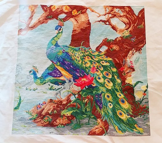 Работа «Павлин»