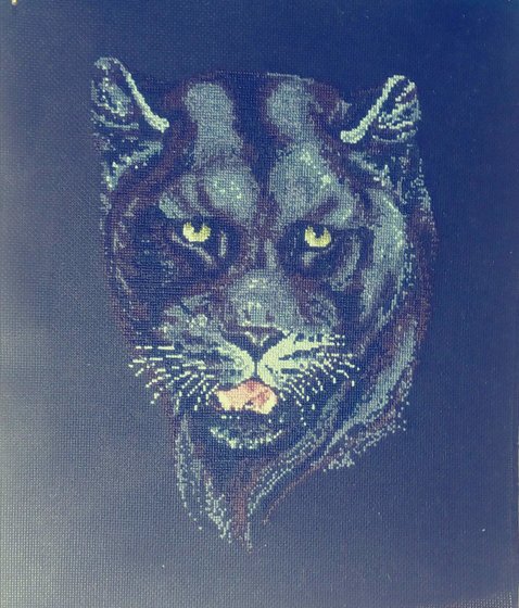 Работа «Пантера»