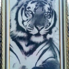 Работа «Тигр»
