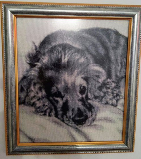 Работа «Дружок»