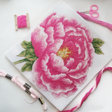 Работа «Пион»