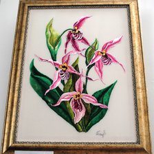 Работа «Орхидеи»