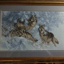 Работа «Волки»