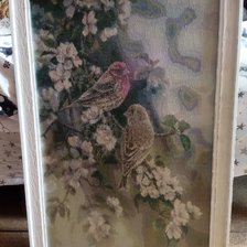 Работа «Птицы»