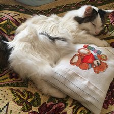 Работа «Лайфушина подушка с мишкой»