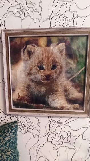 Работа «Рысенок»