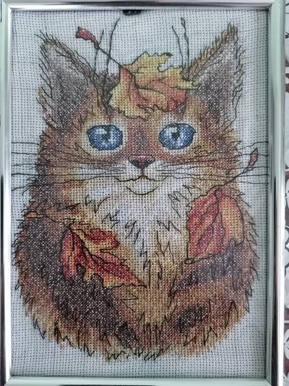 Работа «Осенний котик»