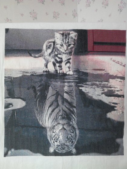 Работа «Душа тигра»