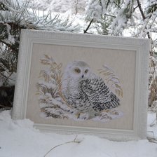 Работа «Белая сова»