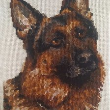 Работа «Портрет овчарки»