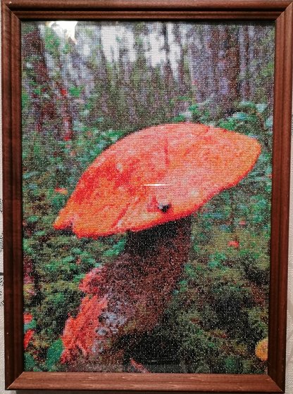 Работа «Подосиновик»