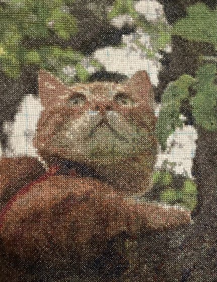 Работа «Рыжик»