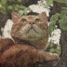 Работа «Рыжик»