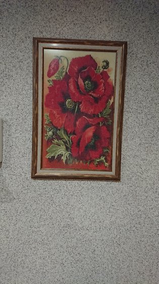 Работа «Маки»