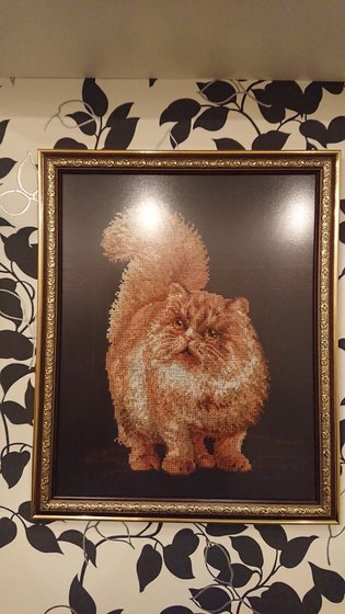 Работа «Рыжий кот»