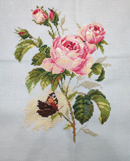 Работа «Róża»