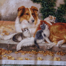 Работа «№91955»