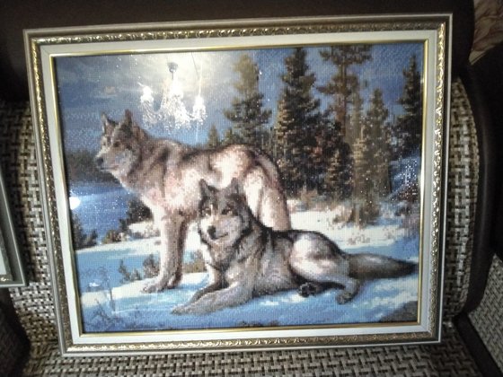 Работа «Волки. Алмазная вышивка. Полная.»