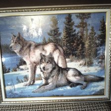 Работа «Волки. Алмазная вышивка. Полная.»