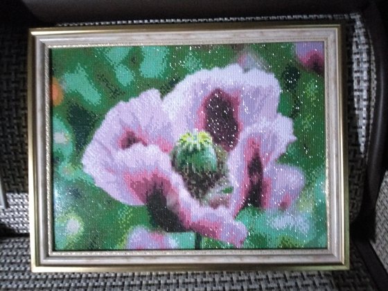 Работа «Мак. Алмазная вышивка. Полная.»