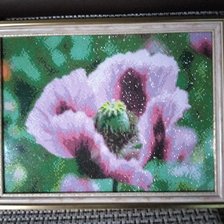 Работа «Мак. Алмазная вышивка. Полная.»