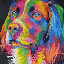 Работа «Радужный пес»