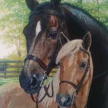 Работа «Пара лошадей»