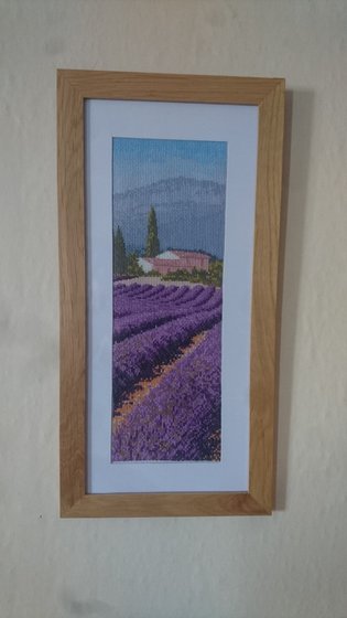 Работа «Лаванда Прованс.»