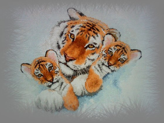 Работа «Уссурийские тигры»