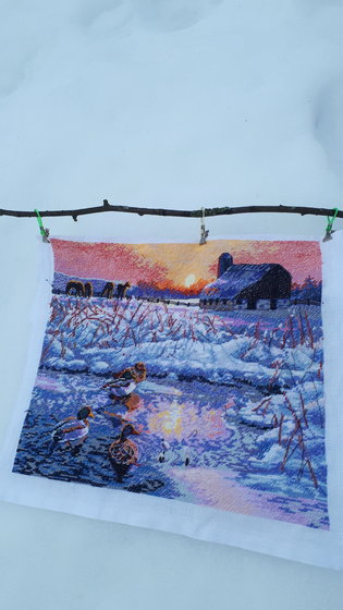 Работа «Зимние утки прилетели»