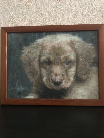 Работа «Щенок»