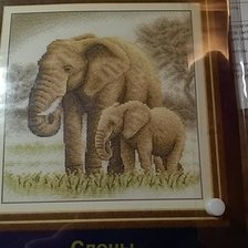 Работа «Слоны 2.»