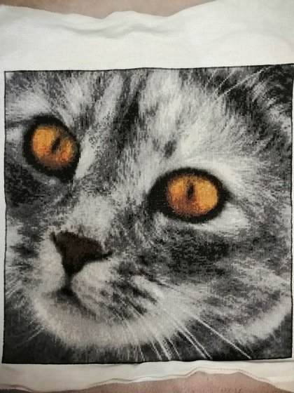 Работа «Котенок»