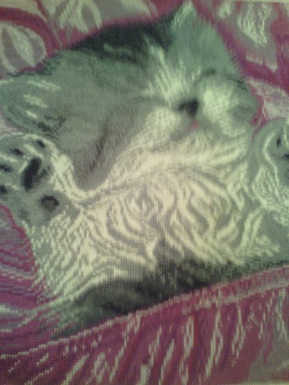 Работа «№92881»