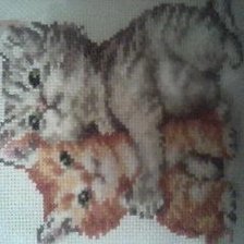 Работа «№92905»