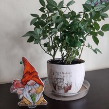 Работа «Гном с мухомором по схеме Елены Ларцовой»